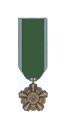 Flotilla Meritorious Award Medal Image